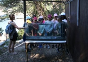 fabriquer-aquarium fabriquer un aquarium en classe de mer