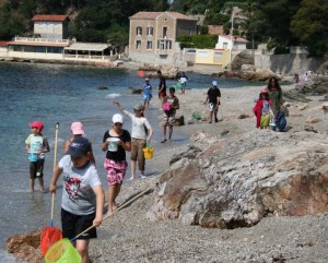 pêche à pied en classe de mer